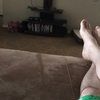 jayrector